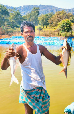 रायपुर : मछली पालन से बदली कृषक हड़मा कोड़ोपी की जिंदगी : प्रधानमंत्री धन धान्य योजना बनी नई उम्मीद