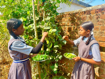 रायपुर : बच्चों को मिल रहा पौष्टिक आहार विद्यालय की बगिया से