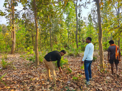रायपुर : बाघ गणना का कार्य सफलतापूर्वक संपन्न