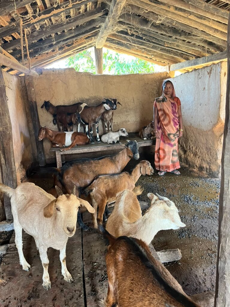 10 बकरियों से शुरू हुआ सफर, आज 40 से अधिक बकरियों की मालकिन हैं प्रमिला सिंह