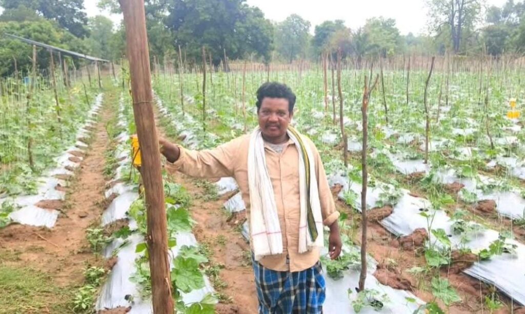 ड्रिप और मल्चिंग से खेती को मिली नई दिशा, संतोष सिंह की आय पाँच गुना बढ़ी