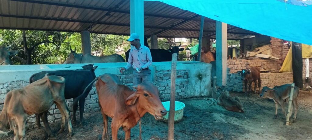 डेयरी व्यवसाय से मजबूत हुई प्रमेन्द्र सिंह के परिवार की आजीविका